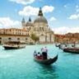 Meet your Posher, Irene